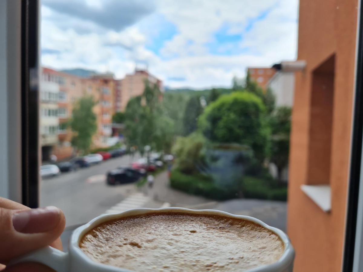 Smart Apartment Brasov